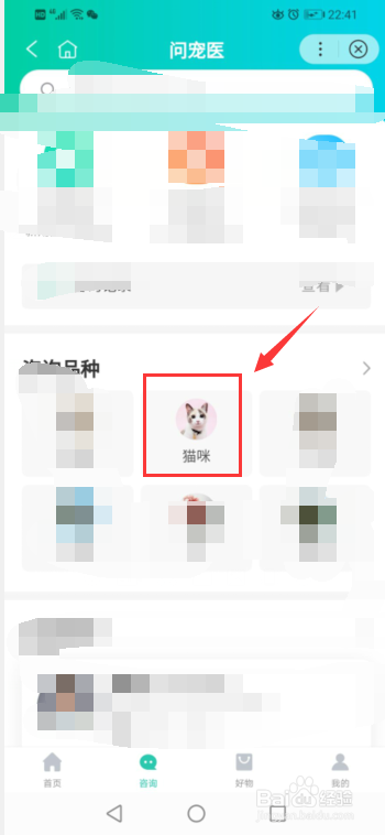 猫咪精神不好食欲不振怎么办