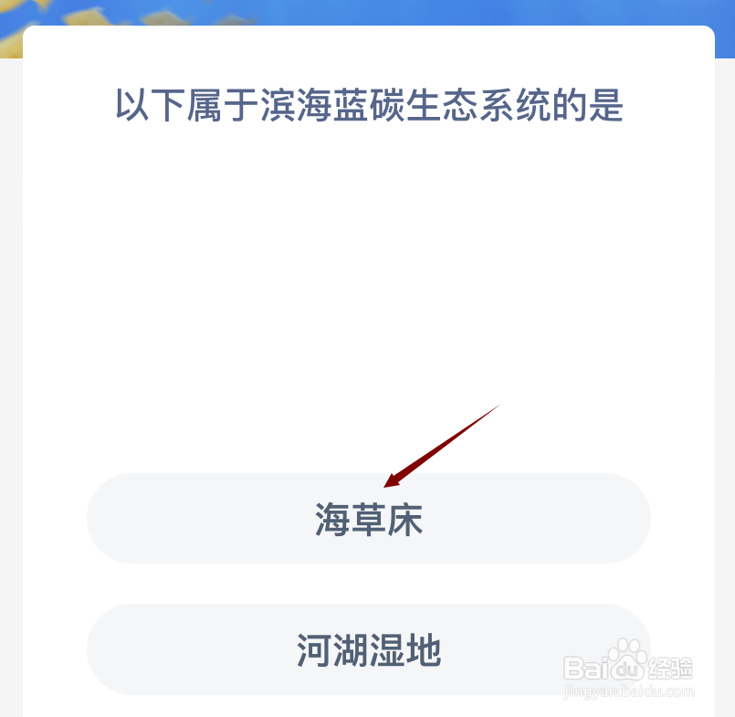 神奇海洋以下属于滨海蓝碳生态系统的是