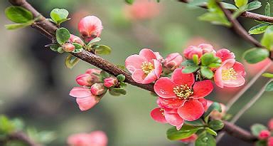 春分----抓住调整运气的好时机