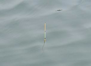 简单易懂的调漂方法