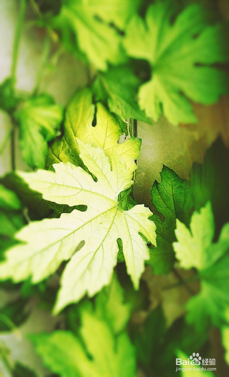 开启新生活之感慨分享