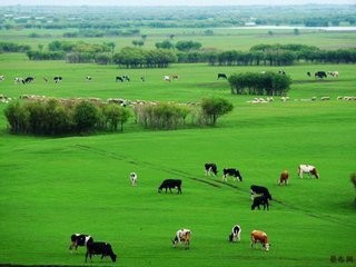 带爸妈旅游要注意些什么