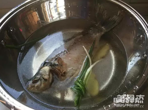 秋季番茄鲫鱼汤的做法?