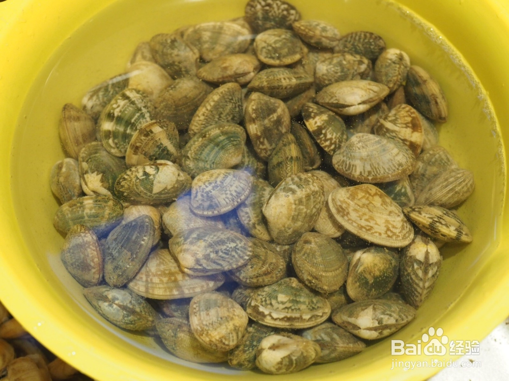 爆炒花甲简单制作