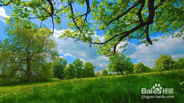 英语书写中应注意的书写中“移行”规则