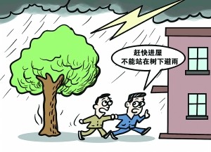 放学路上遇到雷雨天气你会怎么做