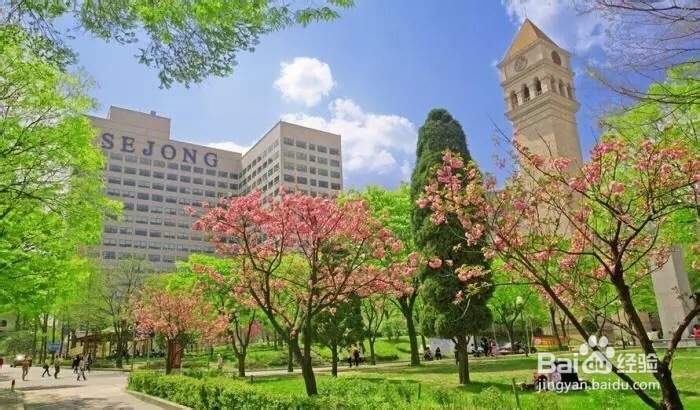 韩国十大美丽大学