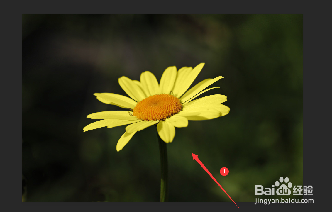 如何在ps中使用颜色替换工具