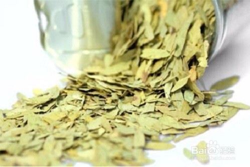 番泻叶的作用与副作用