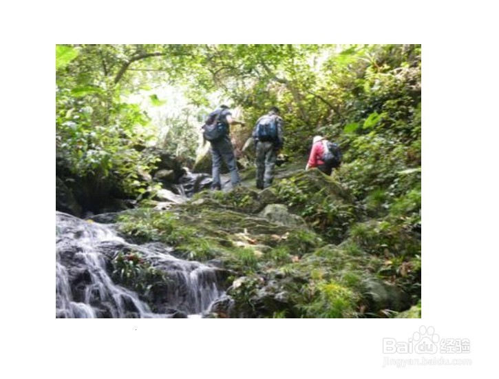有效的心理应对与调节的方法