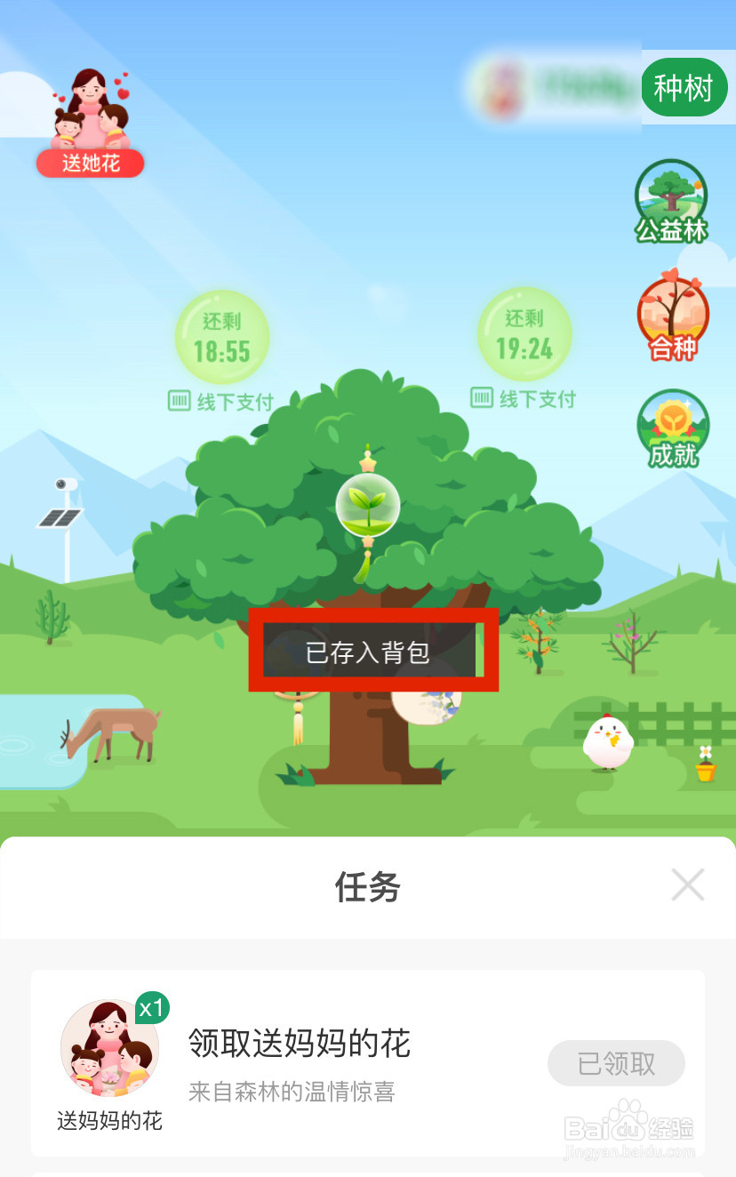 支付宝蚂蚁森林怎么送妈妈花？