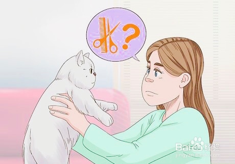 猫眼睛里进毛了怎么办