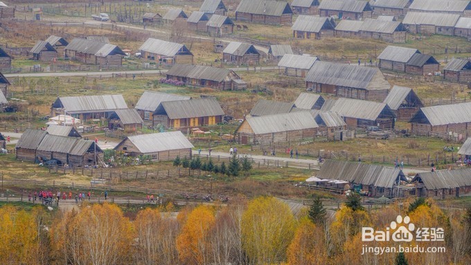 初见禾木 | 美不胜收的秋景!
