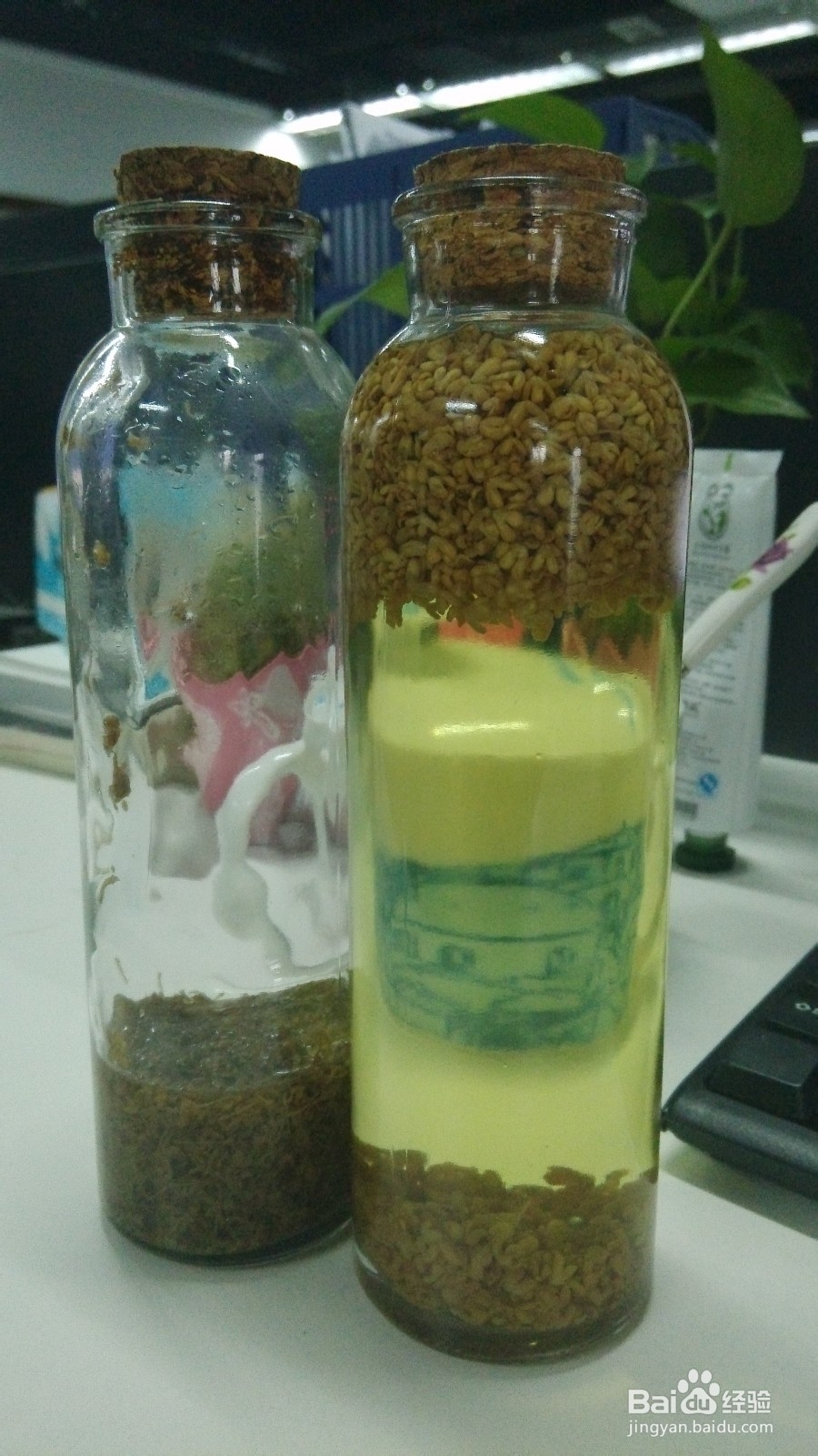 桂花醋的功能和用法