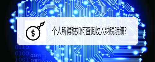 个人所得税如何查询收入纳税明细