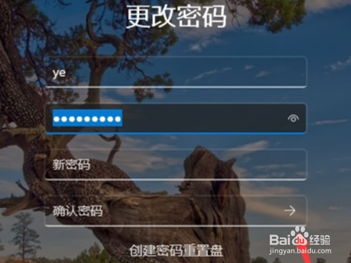 win11怎么取消开机密码