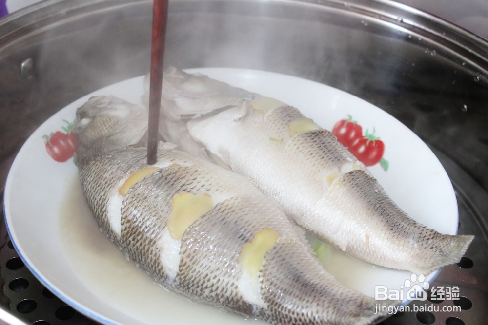 清蒸尖吻鲈鱼的做法