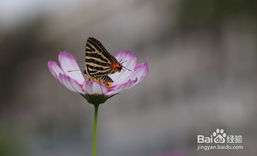 如何解决前进路上的问题和困难