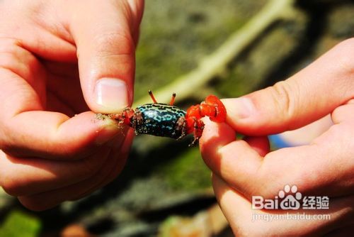 海南椰岛东郊小镇游记