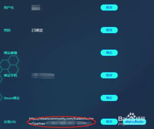 Csgo开箱网站joyskins如何设定steam的交易链接 百度经验