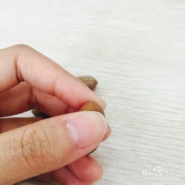 如何巧妙轻松地剥炒香榧?