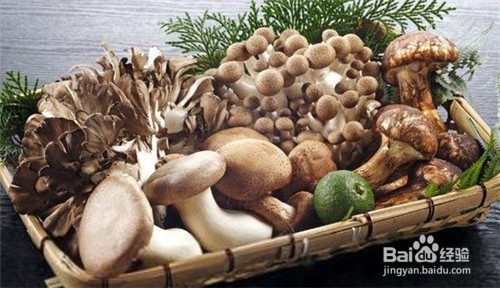 夏天食物保鲜小诀窍