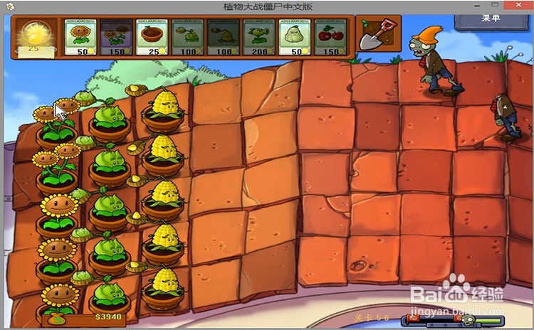 植物大战僵尸level5-6过关攻略