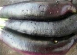 红烧茄子的制作方法