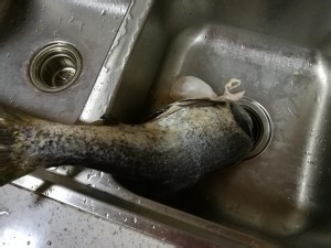 如何在家做出美味的酸菜鱼