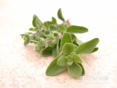 做面包、蛋糕、饼干需要什么食材呢?