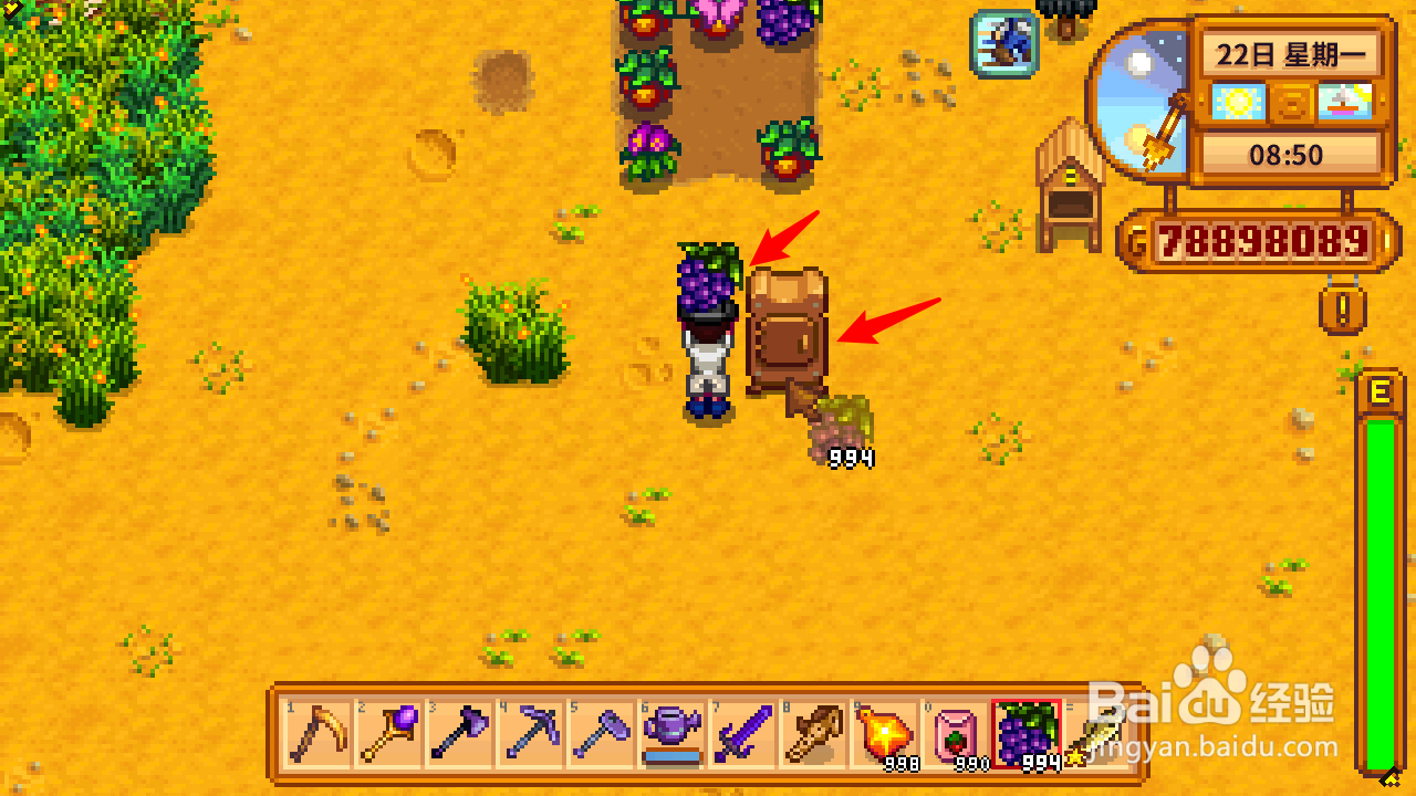 星露谷物语葡萄干怎么做