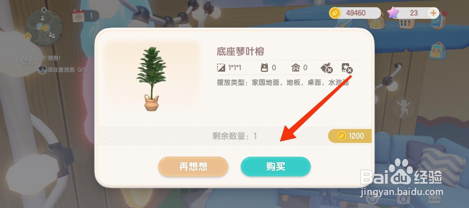 心动小镇怎么购买底座琴叶榕？