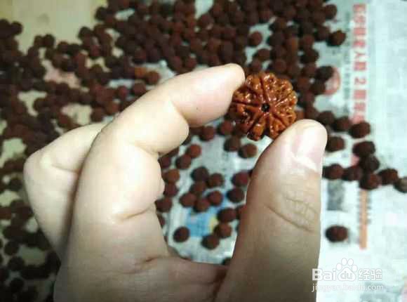 金刚菩提子如何挑选