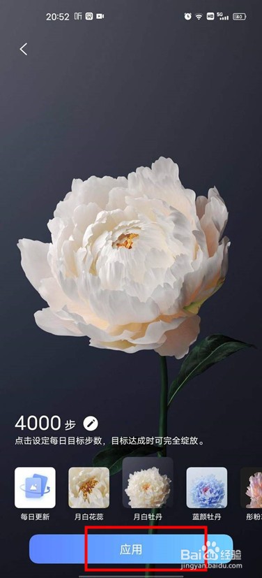 vivox60pro在哪里设置行为壁纸