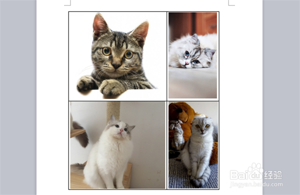 word里如何把图片排版规整