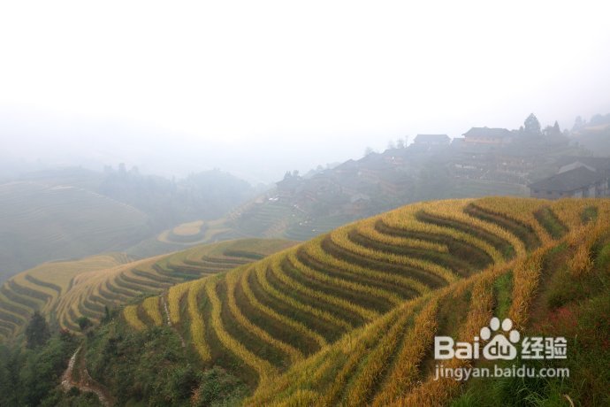 黄金周桂林亲子游不拥挤攻略