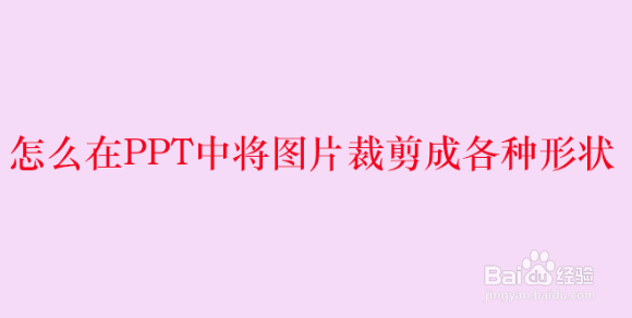 <b>怎么在PPT中将图片裁剪成各种形状</b>