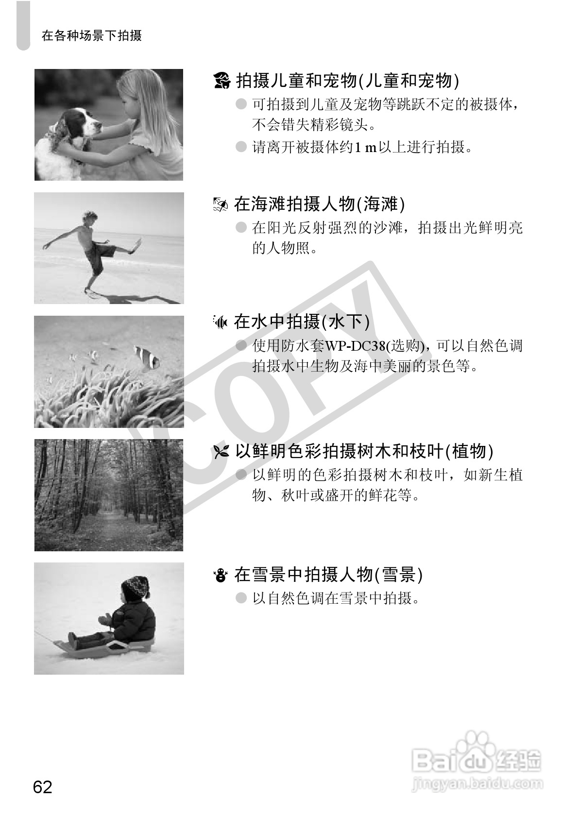 佳能PowerShot S95数码相机使用说明书:[7]
