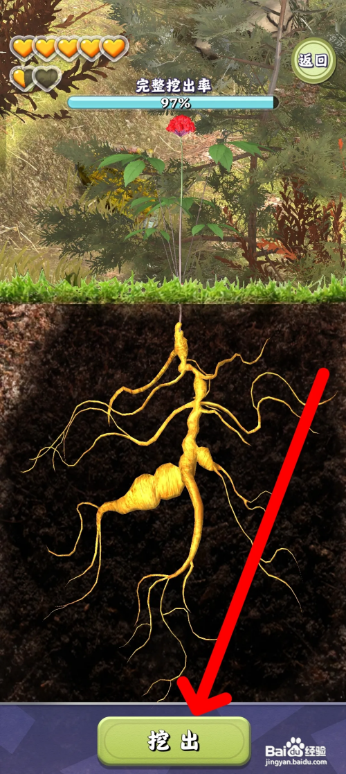 夺笋高手获得千年野人参怎么做