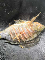 家常红烧鱼的制作方式