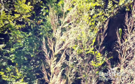 寒假开学应该怎么制定学习计划