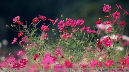 生活技巧连连看