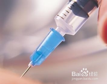 如何养好金毛幼犬