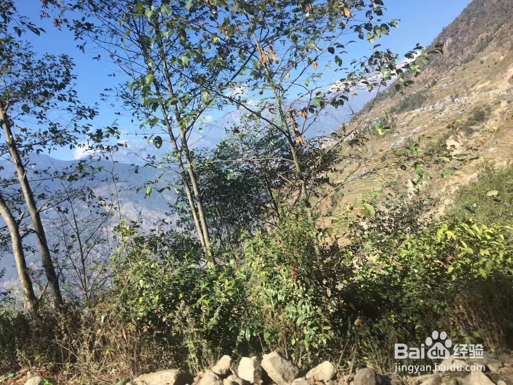 尼泊尔------喜马拉雅南坡