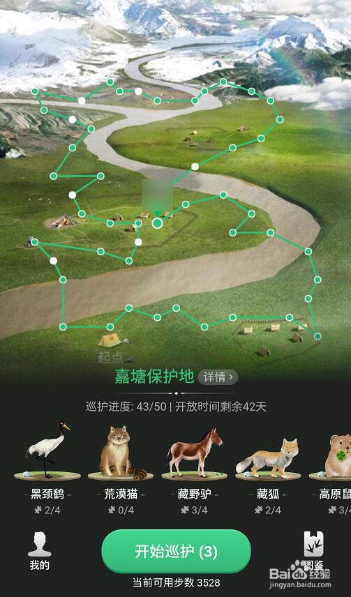 蚂蚁森林里的小动物如何获得