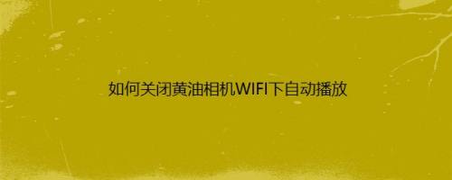 如何关闭黄油相机WIFI下自动播放