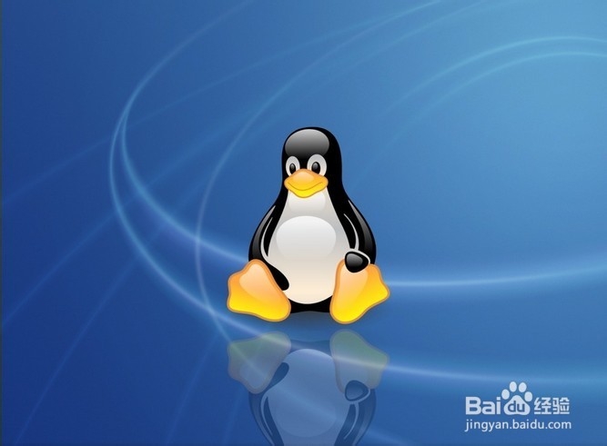 C++、C、Java中回车与换行的区别与联系