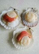 蒜蓉粉丝蒸扇贝