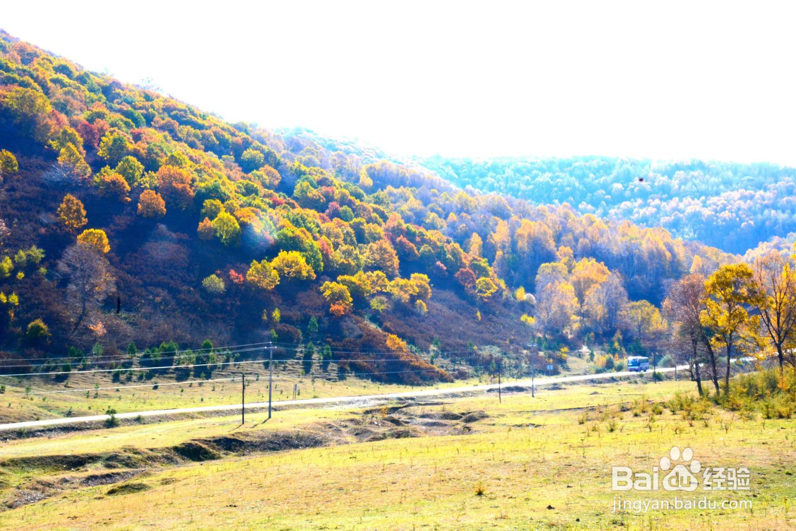 赤峰市周边好玩的人气旅游景点推荐