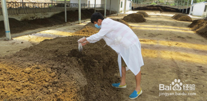 怎么样判断发酵生物有机肥是否成功?